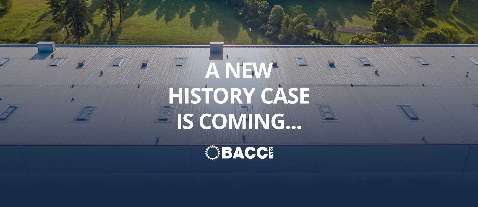 Bacci website image